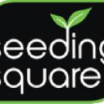 Seeding Square