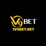 1v9bet net