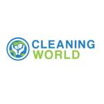 cleaning world