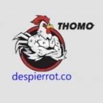 ĐÁ GÀ THOMO TRỰC TIẾP