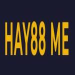 HAY88