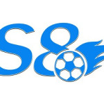 S8 voto
