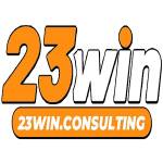 23Win consulting