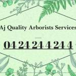 AJ Quality Arborists