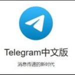 纸飞机中文版