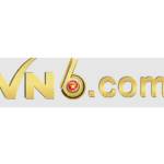 VN 6
