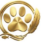 Buddy Paws
