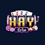 Haywin1 news