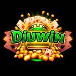 diuwin game