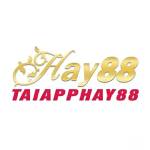 APP HAY88