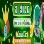 Soi Cầu 247 Rồng Bạch Kim