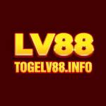 Togelv88 Info