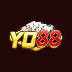 Yo88 aorg