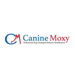 Canine Moxy