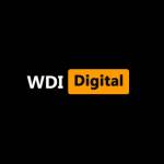 Website Developers India