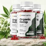 WilderLeaf Organic Hemp Gummies